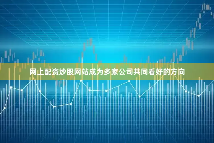 网上配资炒股网站成为多家公司共同看好的方向