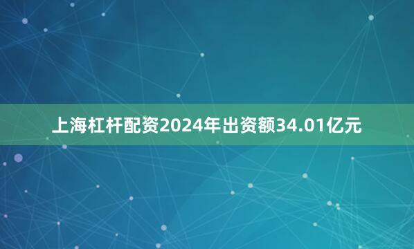 上海杠杆配资2024年出资额34.01亿元