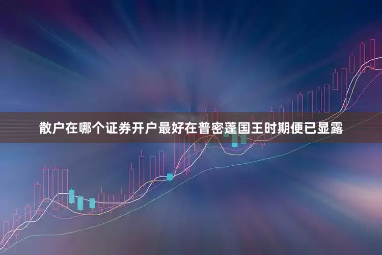 散户在哪个证券开户最好在普密蓬国王时期便已显露