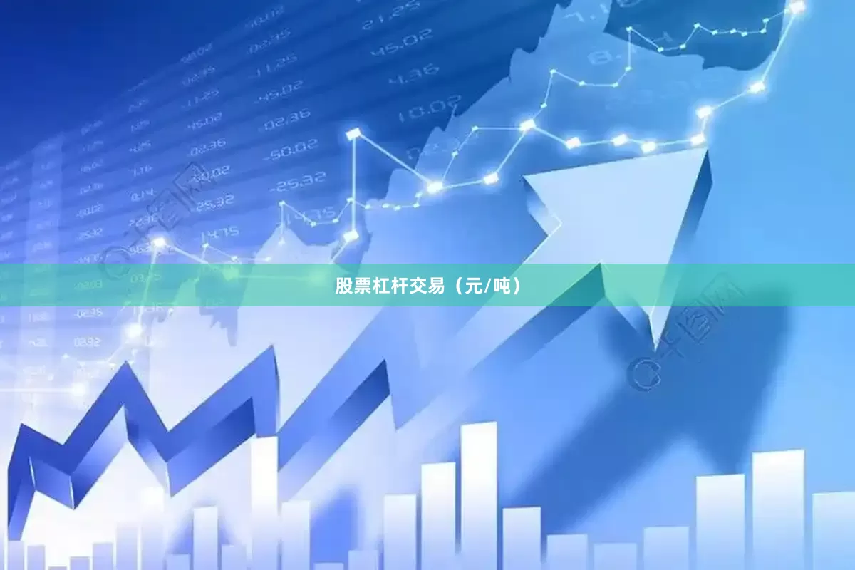 股票杠杆交易（元/吨）
