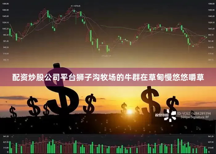 配资炒股公司平台狮子沟牧场的牛群在草甸慢悠悠嚼草