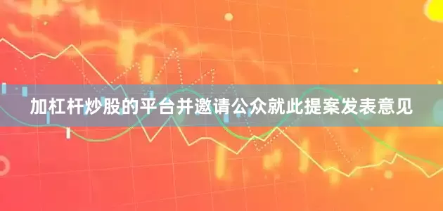 加杠杆炒股的平台并邀请公众就此提案发表意见